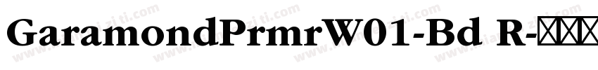 GaramondPrmrW01-Bd R字体转换